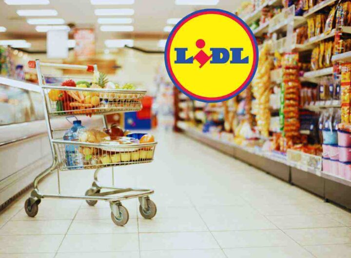 Offerte imperdibili da Lidl: quali sono