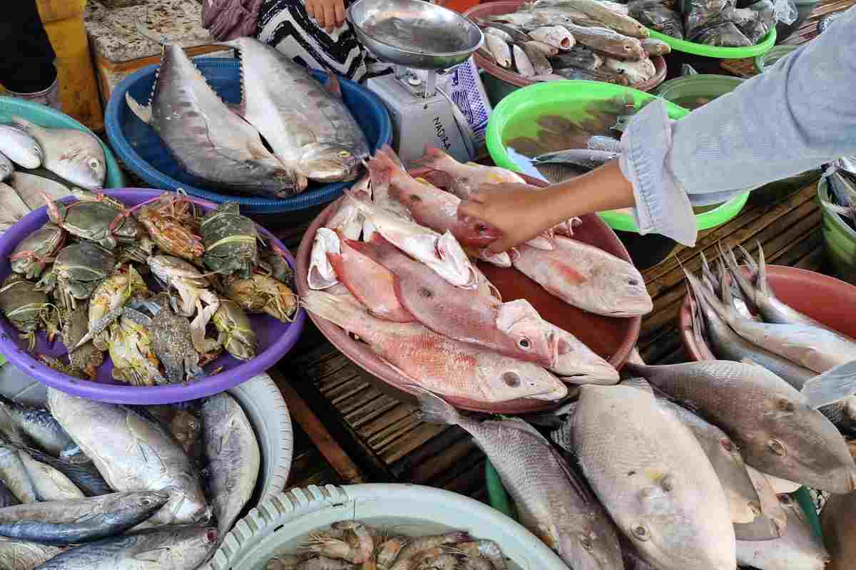 pesce contaminato mercurio quale scegliere