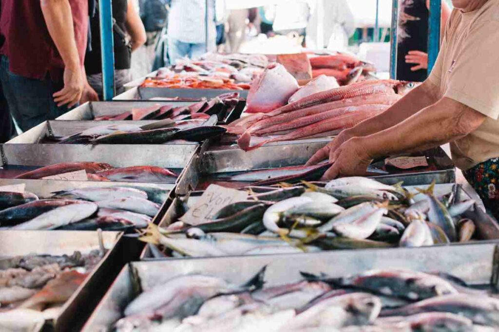 pesce contaminato mercurio quale scegliere