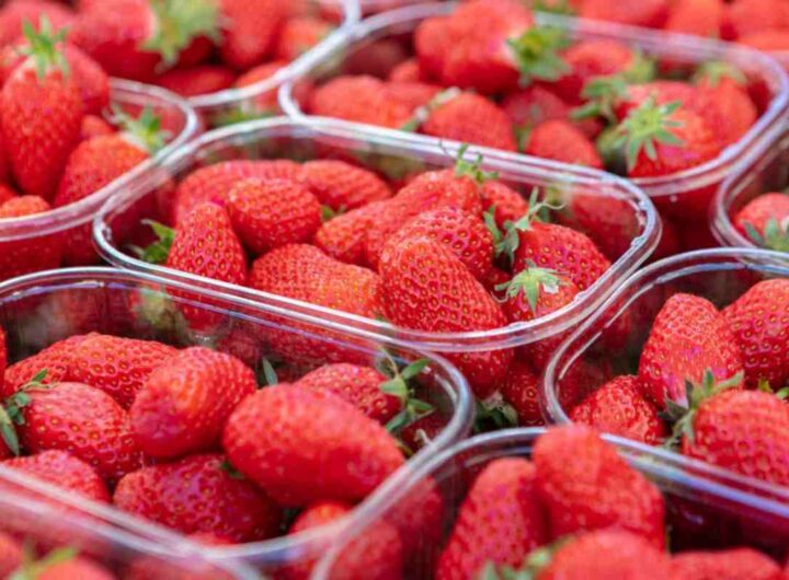 vaschetta fragola
