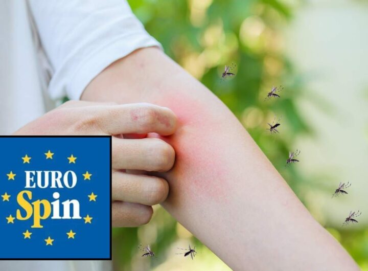 addio zanzare casa eurospin