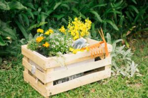 Cassetta in legno