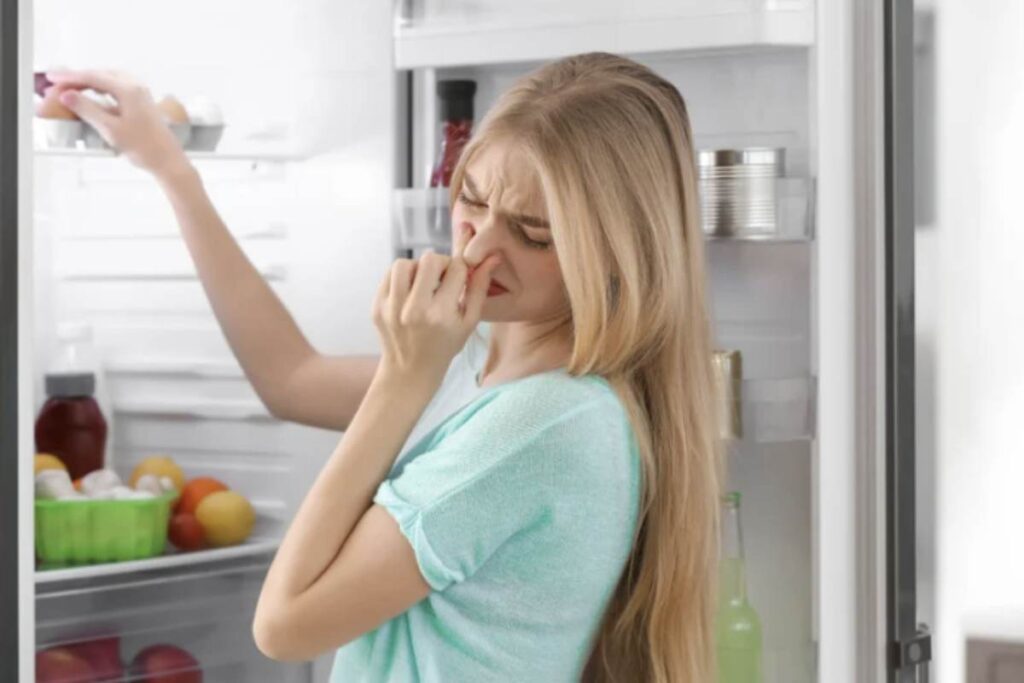 Nonostante le pulizie regolari, può capitare che persistano odori fastidiosi e sgradevoli, dovuti a residui di alimenti o a muffe invisibili.