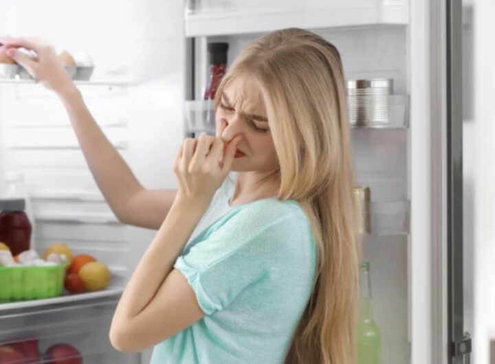 Nonostante le pulizie regolari, può capitare che persistano odori fastidiosi e sgradevoli, dovuti a residui di alimenti o a muffe invisibili.
