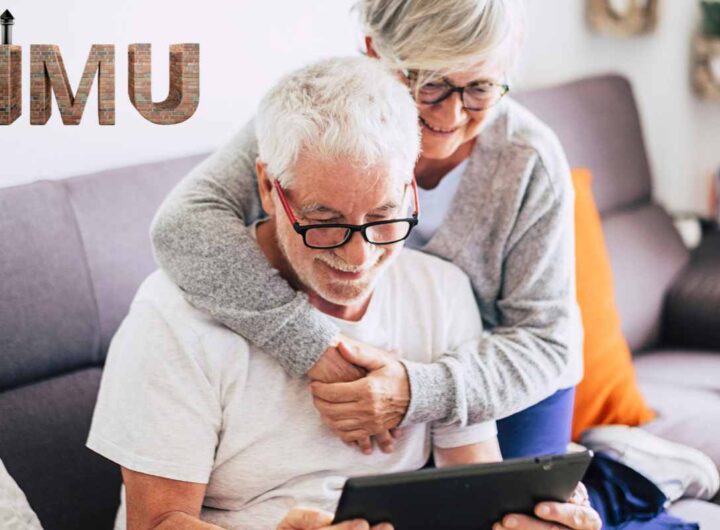 IMU