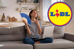 Da Lidl caldo risolto con questo prodotto