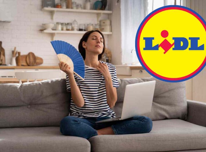 Da Lidl caldo risolto con questo prodotto