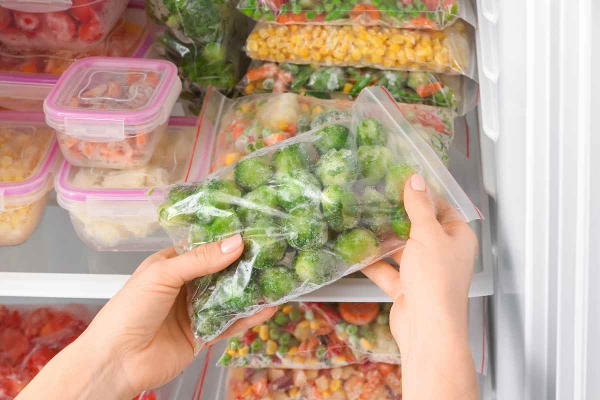 Moneta Freezer