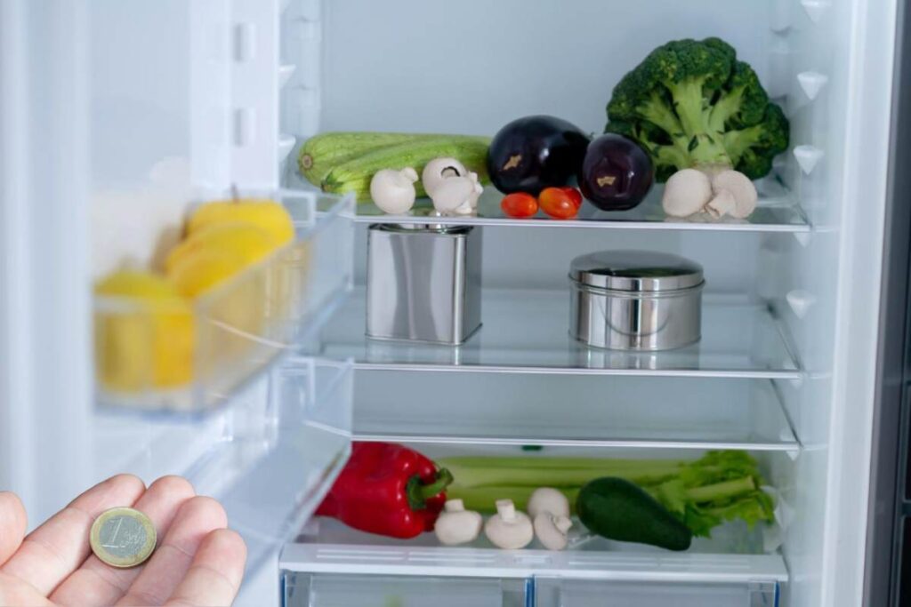 Moneta Freezer