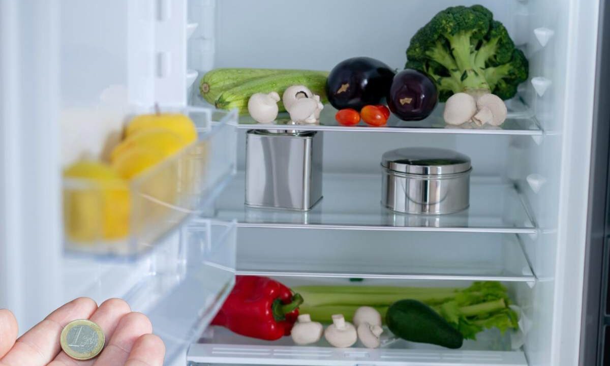 Moneta Freezer