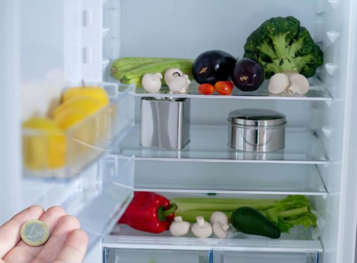 Moneta Freezer