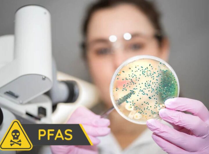PFAS