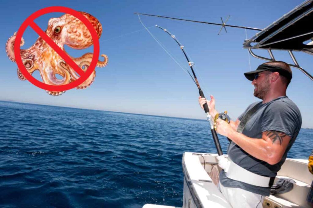 Pesca Polpo