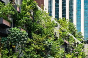 Facciata ricoperta da vegetazione verde che si sviluppa lungo il muro.