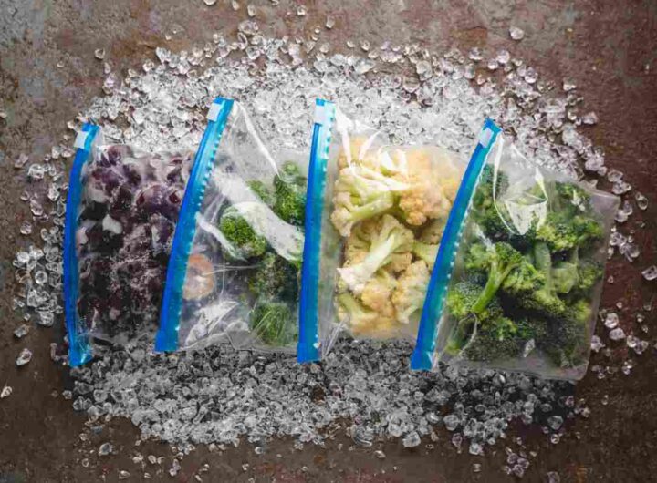 Sacchetti del freezer