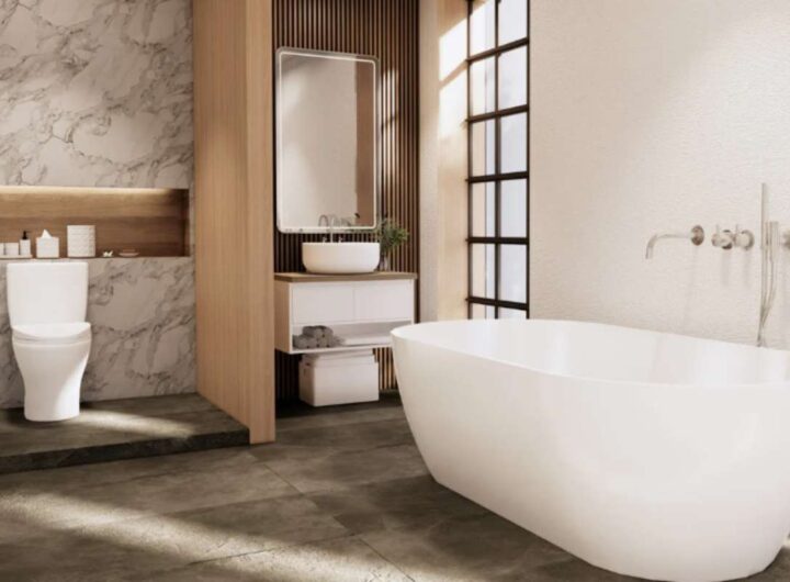 Scarico WC