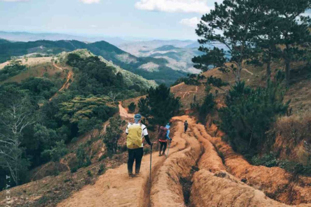 Trekking