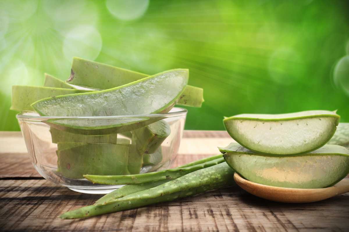 aloe vera rimedio naturale