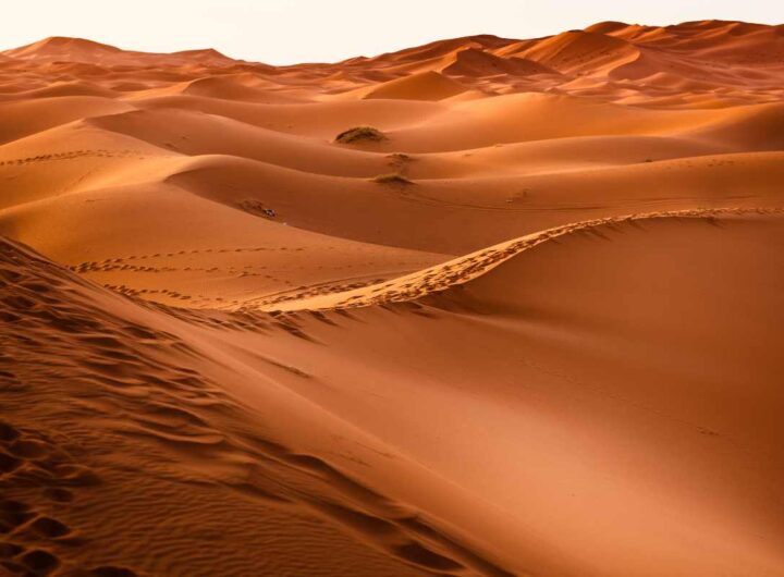 deserto roma