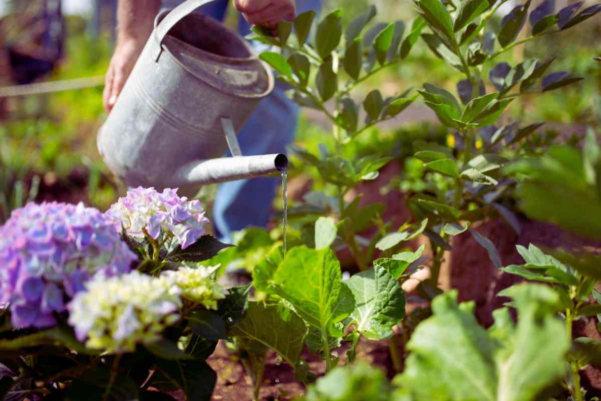 Fontana da giardino ecochic: come creare un’oasi di relax con materiali riciclati