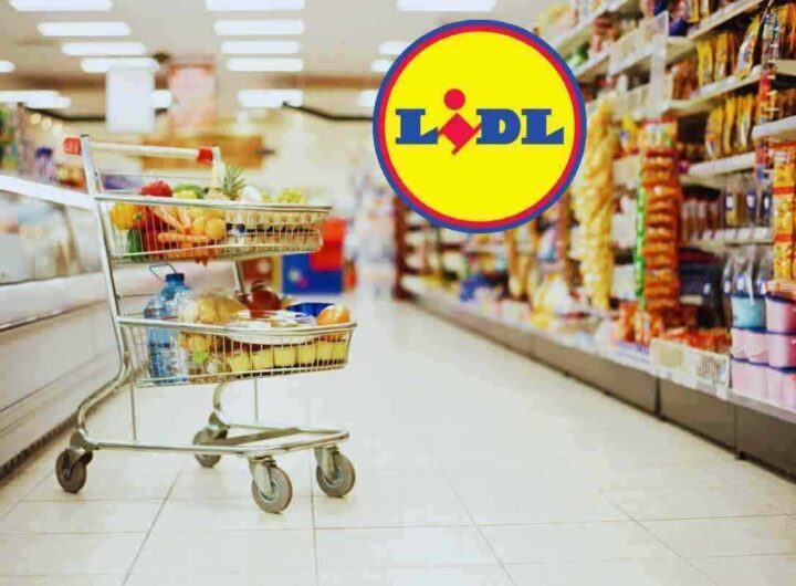 Lidl, elettrodomestico indispensabile a un prezzo mai visto