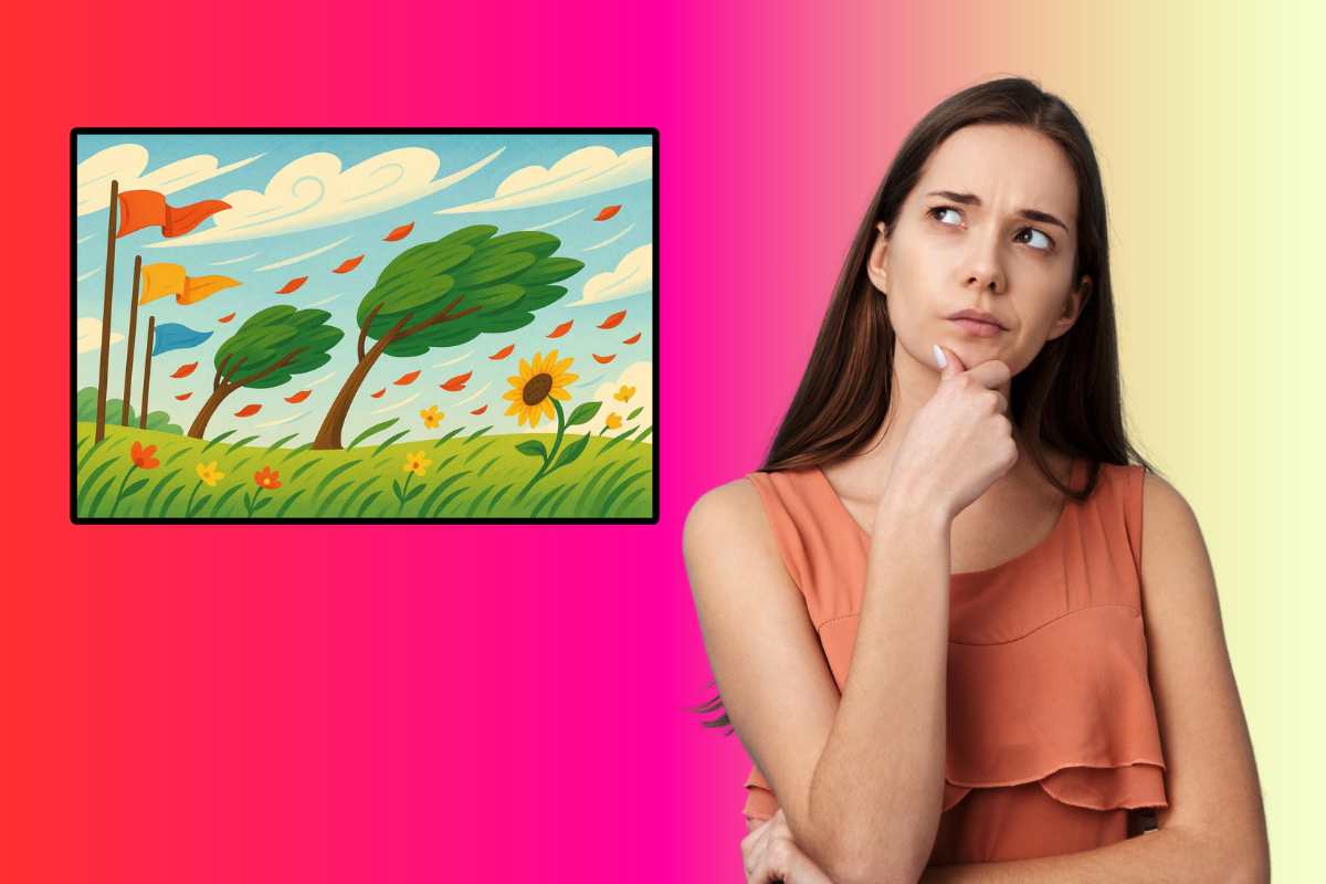 test visivo quiz