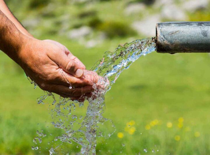 Bacinella acqua allarme