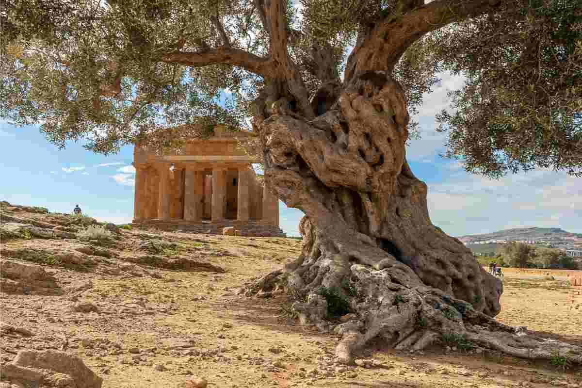 Agrigento