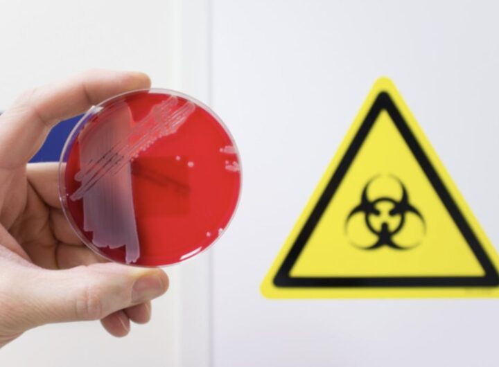 A lanciare l’allarme è stato l’infettivologo Matteo Bassetti, primario del Policlinico San Martino di Genova, che ha evidenziato il ruolo