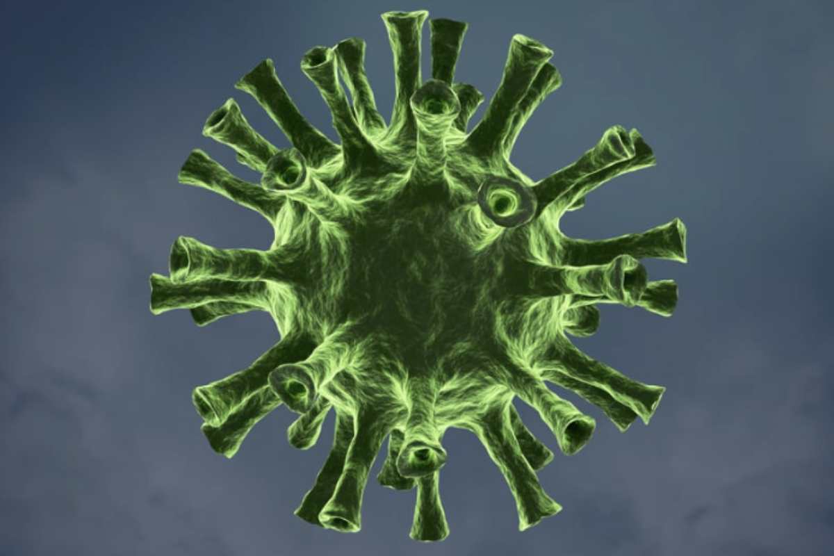 Le infezioni da Vibrio vulnificus possono manifestarsi in modi diversi a seconda della via di ingresso e della condizione del paziente.