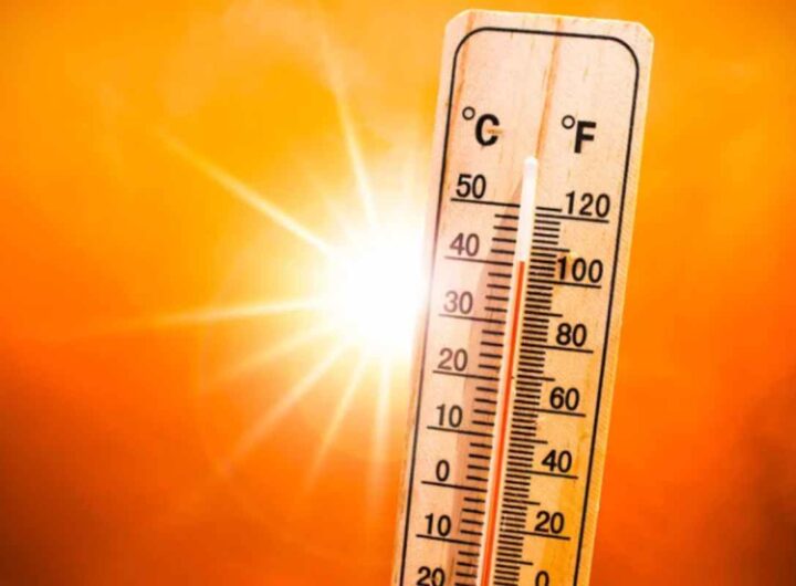 La crescente ondata di caldo, accompagnata da un clima sempre più irregolare, ha spinto molti residenti a prendere decisioni drastiche