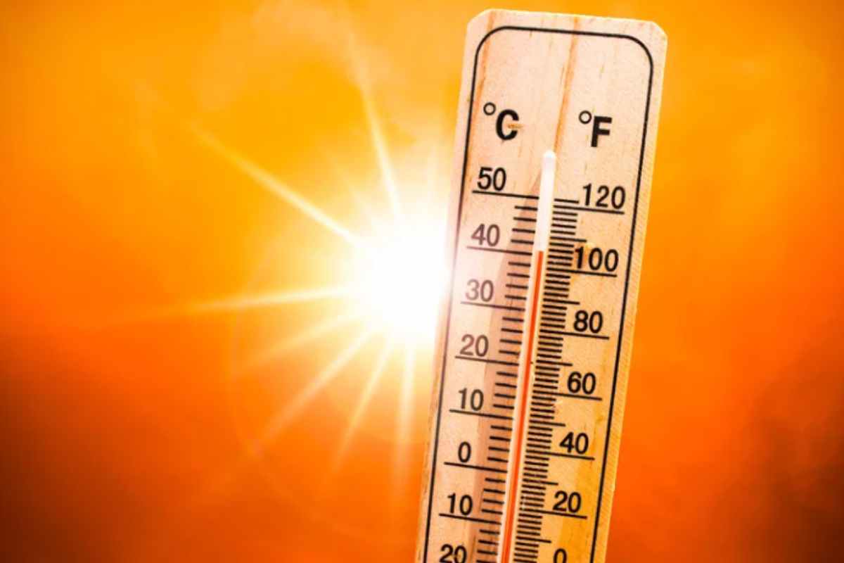 Caldo