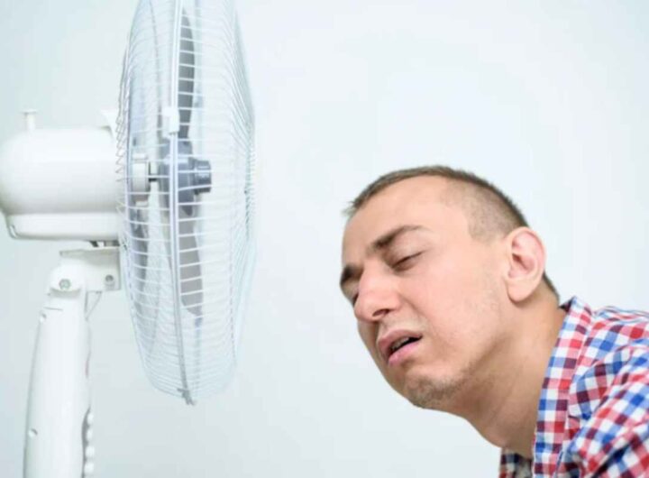 Caldo