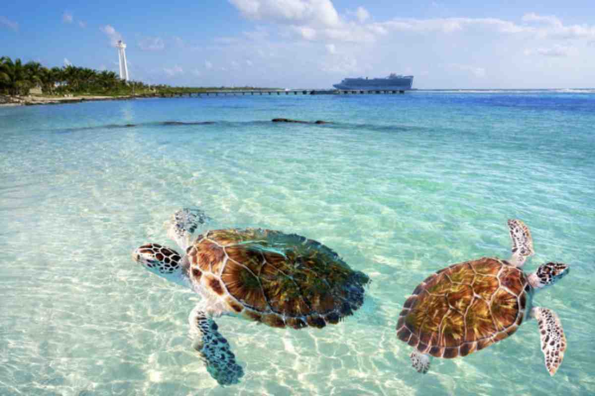 Oltre alla sicurezza, i Caraibi offrono una grande varietà di isole con caratteristiche uniche per ogni tipo di viaggiatore.