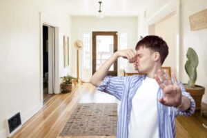 Questo fenomeno, spesso associato a presunti guasti idraulici, ha invece una spiegazione scientifica ben precisa e soluzioni semplici ed efficaci.