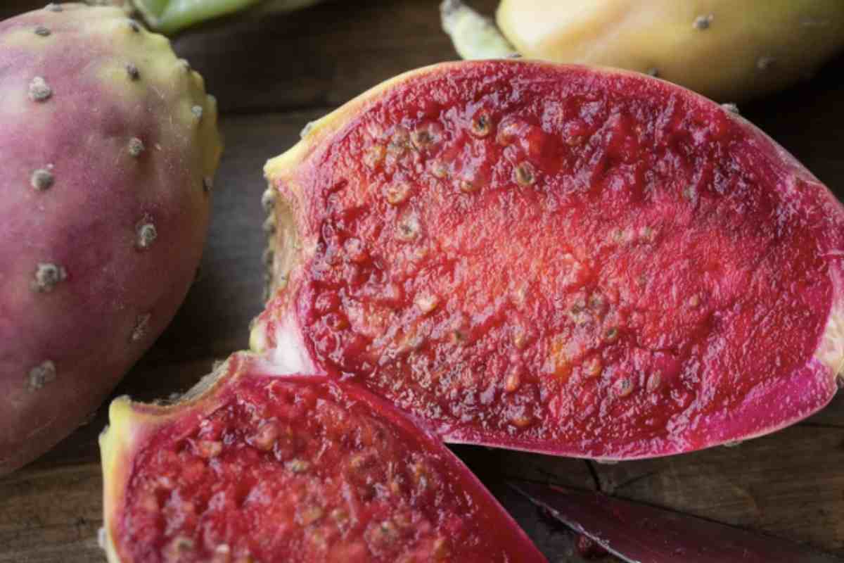 La relazione tra Blastophaga psenes e il fico è fondamentale non solo per la produzione di frutti commestibili