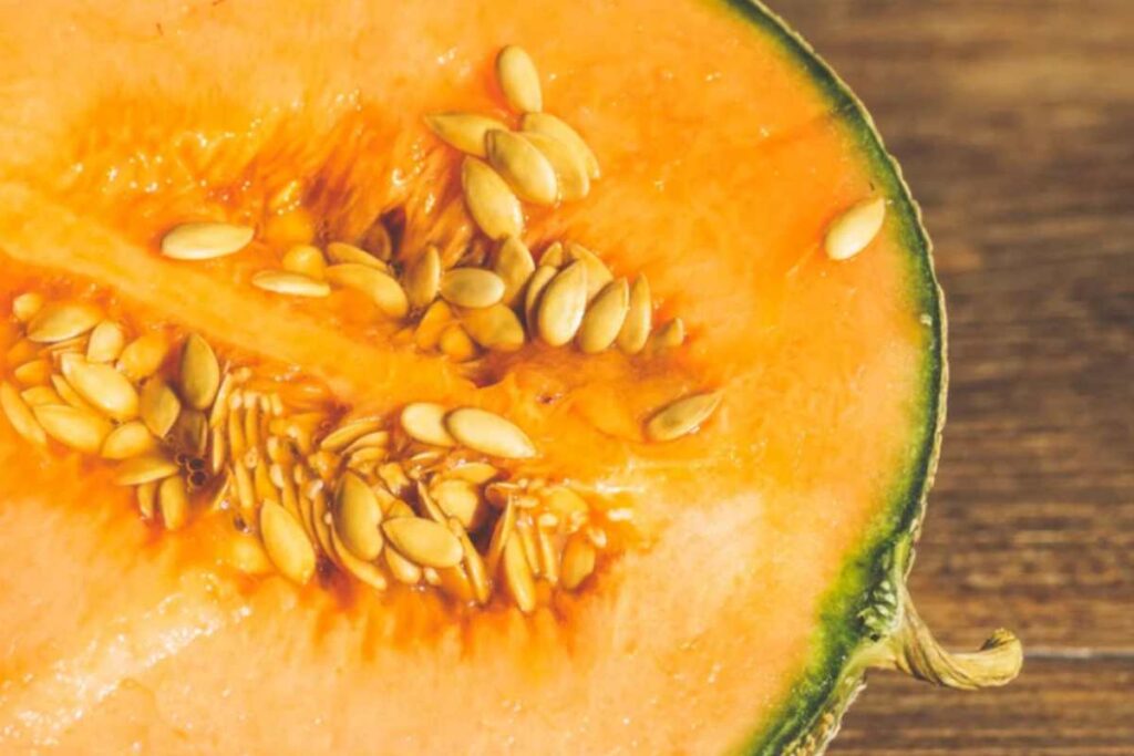 Melone