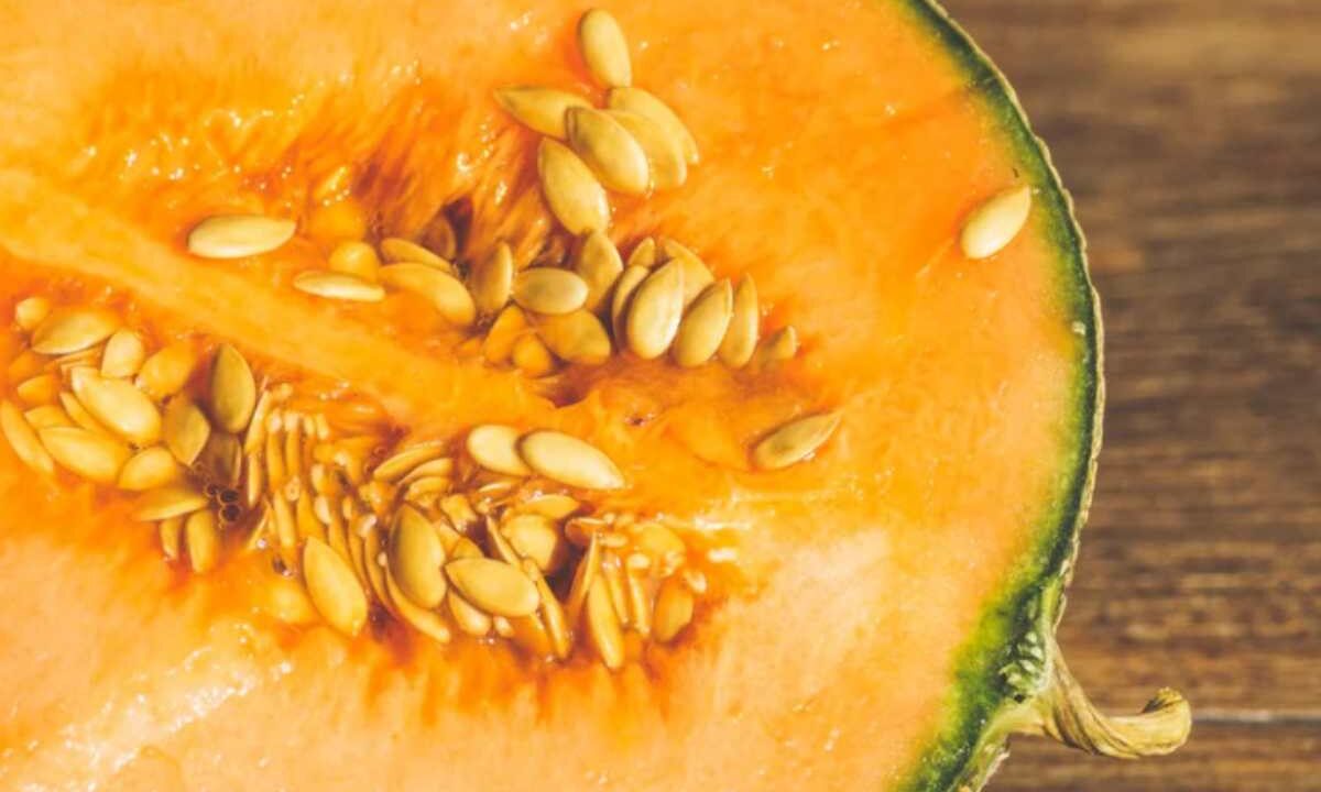 Melone