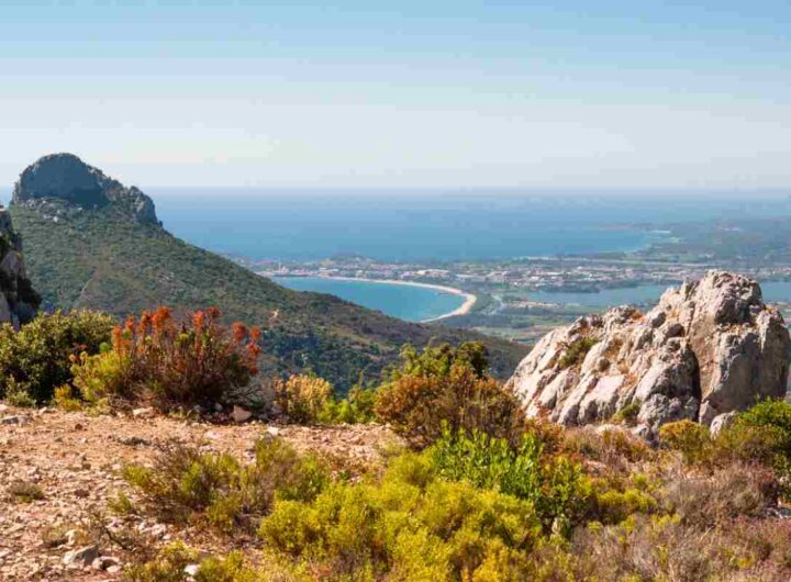 Ogliastra