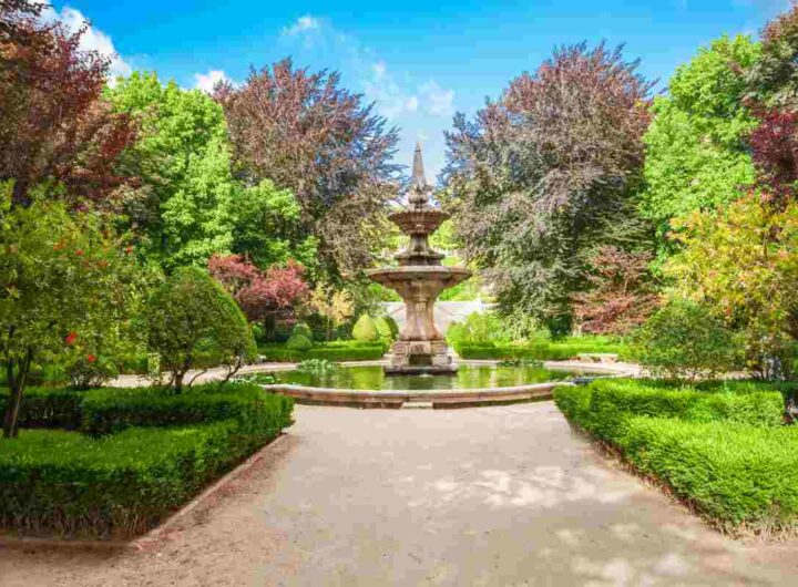 Orto botanico