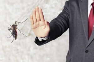 Riconoscere un possibile “nido” di zanzare all’interno degli ambienti domestici è fondamentale per adottare misure efficaci