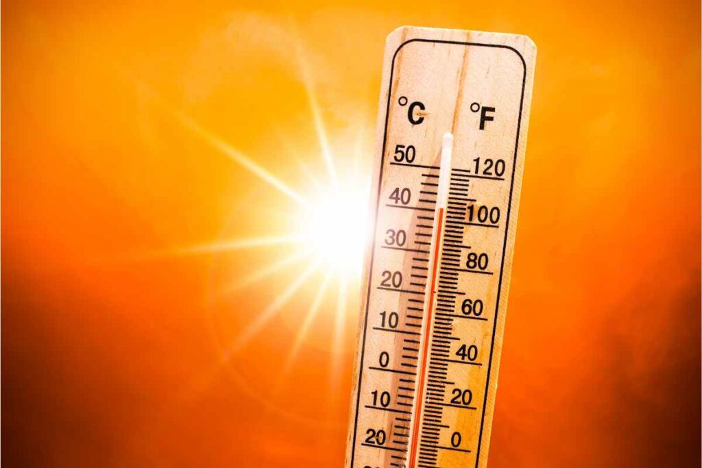 Caldo record: anziani e bambini a rischio