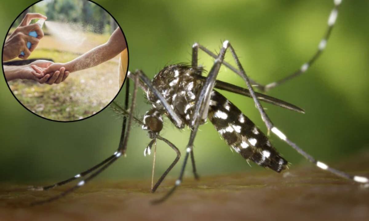 Un recente test condotto da Altroconsumo ha evidenziato come solo pochi repellenti anti-zanzare per bambini