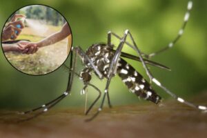 Un recente test condotto da Altroconsumo ha evidenziato come solo pochi repellenti anti-zanzare per bambini