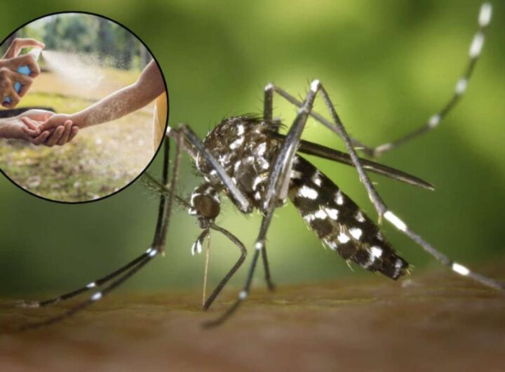 Un recente test condotto da Altroconsumo ha evidenziato come solo pochi repellenti anti-zanzare per bambini