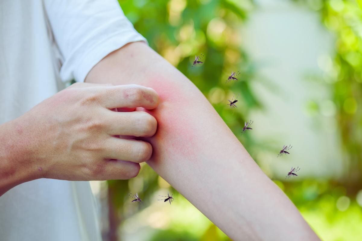 Zanzare e mosche addio con il trucco virale della nonna