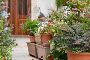 fiori sul balcone