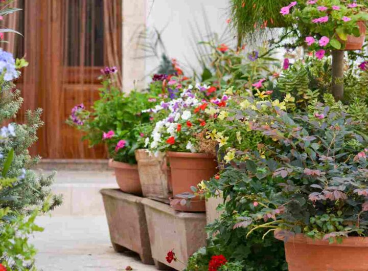 fiori sul balcone