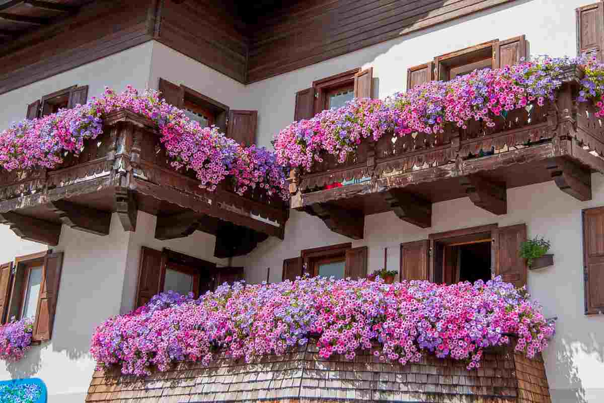 balcone fiorito come farlo