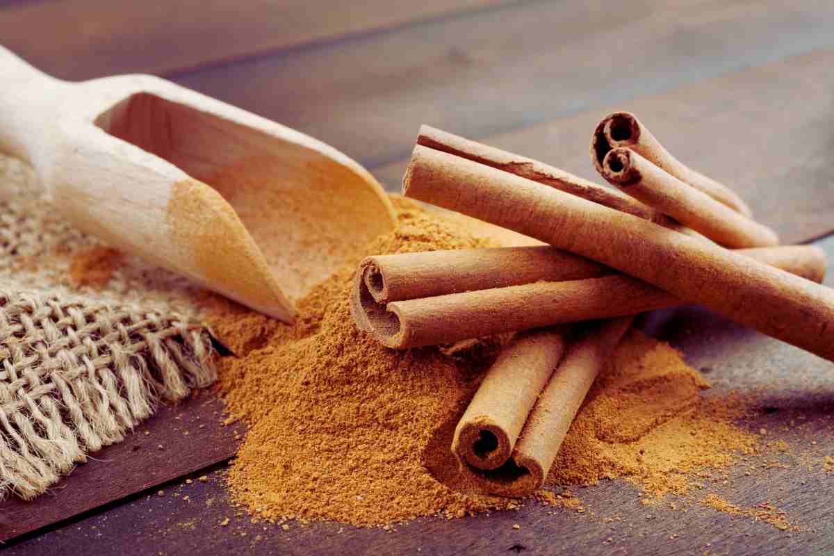 con 2 bastoncini di cannella la tua cucina profuma